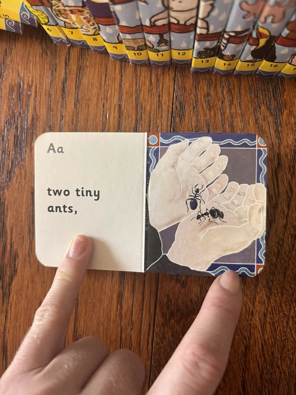 Alphabet Animal Books - Noah's Arc